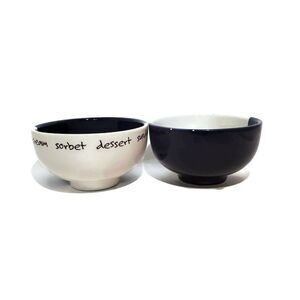 Pier 1 One Sorbet DESSERT Ice Cream Soup Cereal Bowls Made Italy Lot of 2 READ
